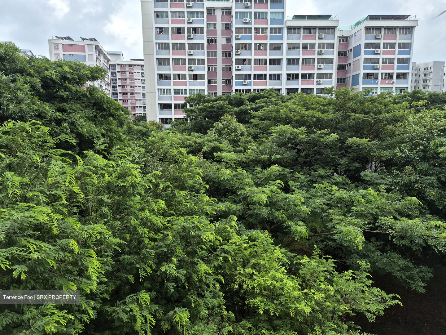 Blk 486 Pasir Ris Drive 4 (Pasir Ris), HDB 5 Rooms #584383541